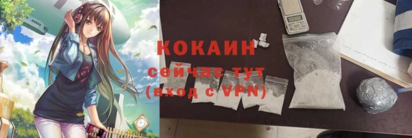 тгк Богородицк