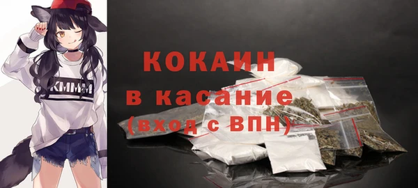 тгк Богородицк