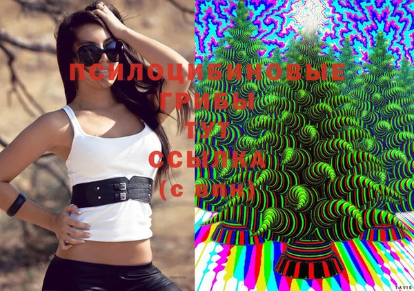 тгк Богородицк