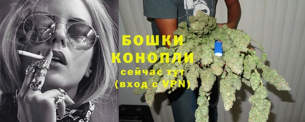 тгк Богородицк