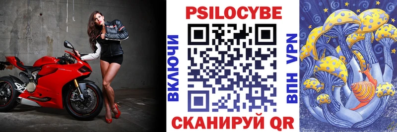 наркота  Тосно  Псилоцибиновые грибы Psilocybine cubensis 